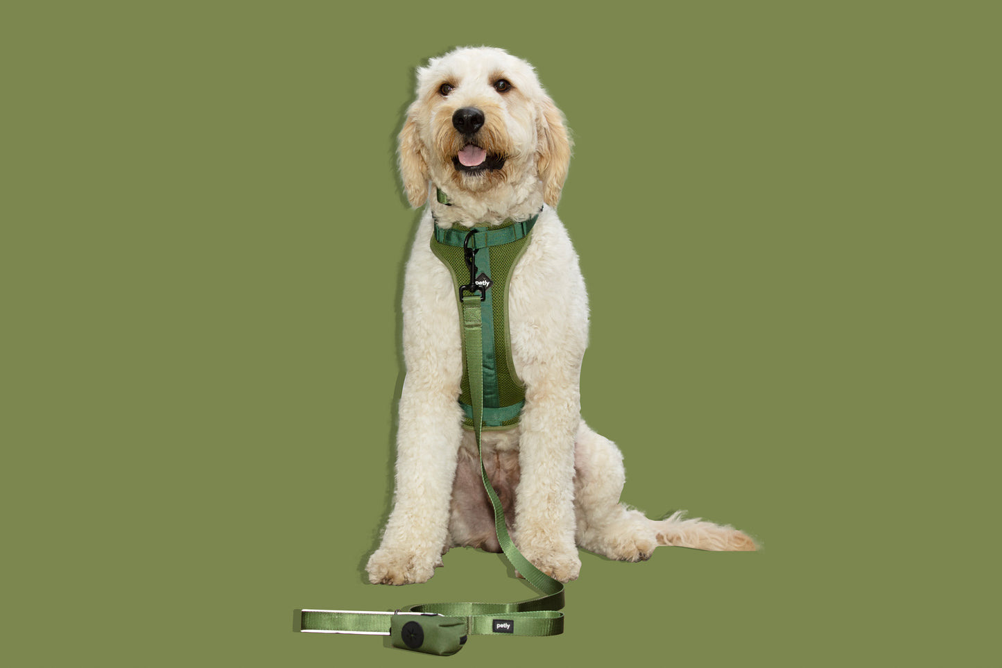 The Ultimate Walk Kit - Adjustable Harness & Gear for Every Journey