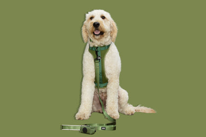 The Ultimate Walk Kit - Adjustable Harness & Gear for Every Journey