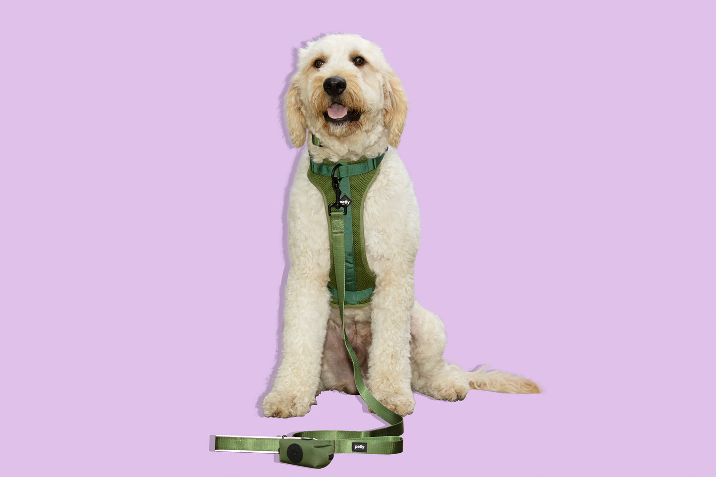 The Ultimate Walk Kit - Adjustable Harness & Gear for Every Journey