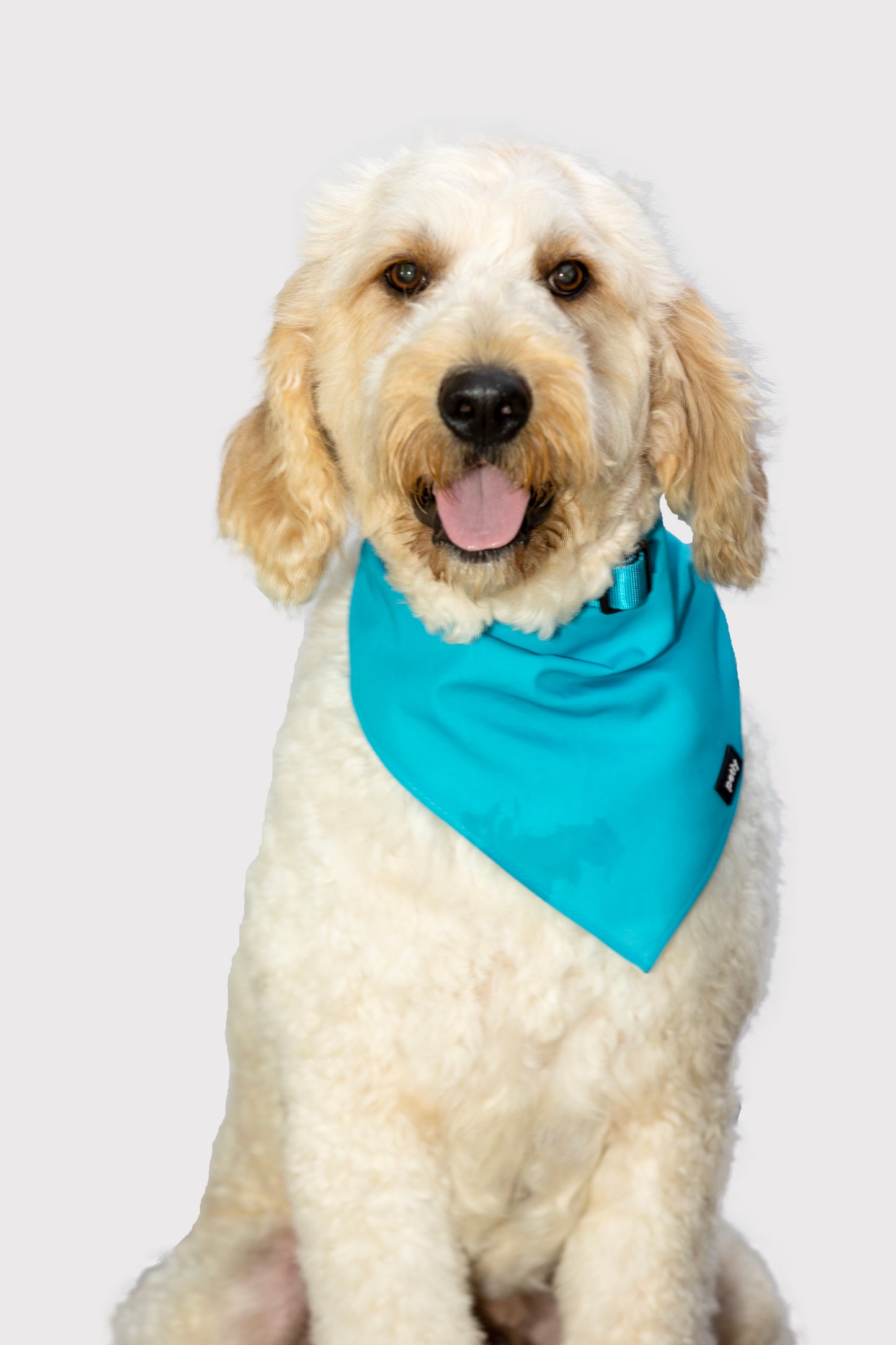 Cotton Bandana