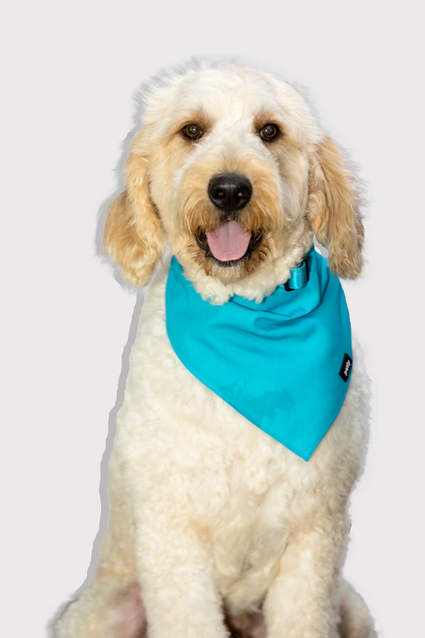 Cotton Bandana
