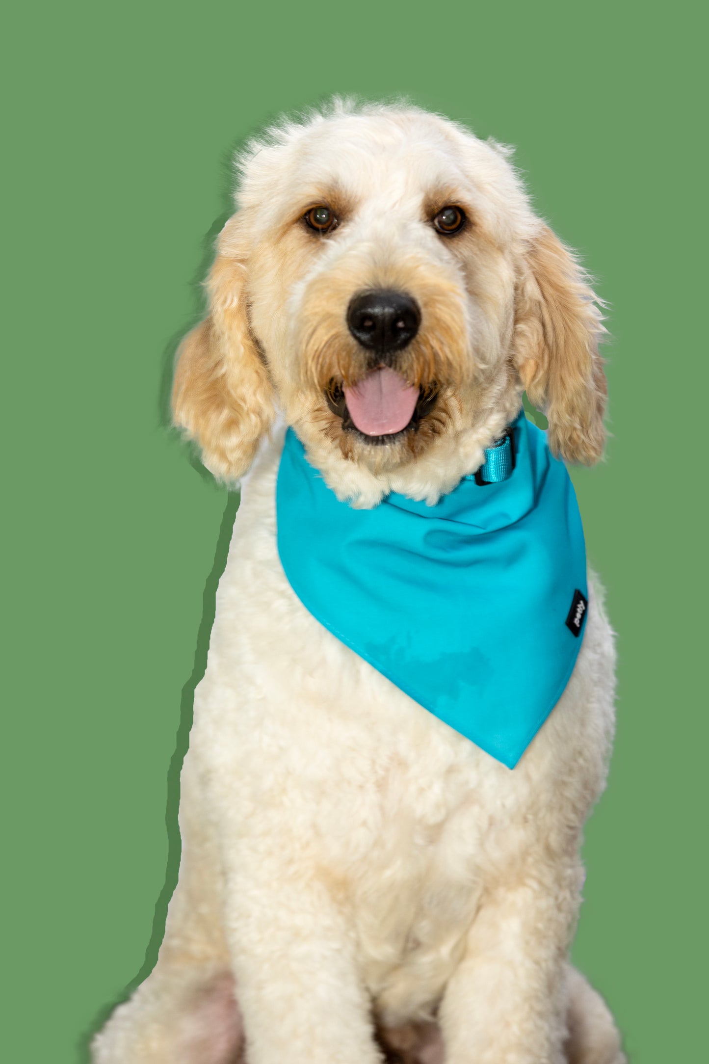 Cotton Bandana