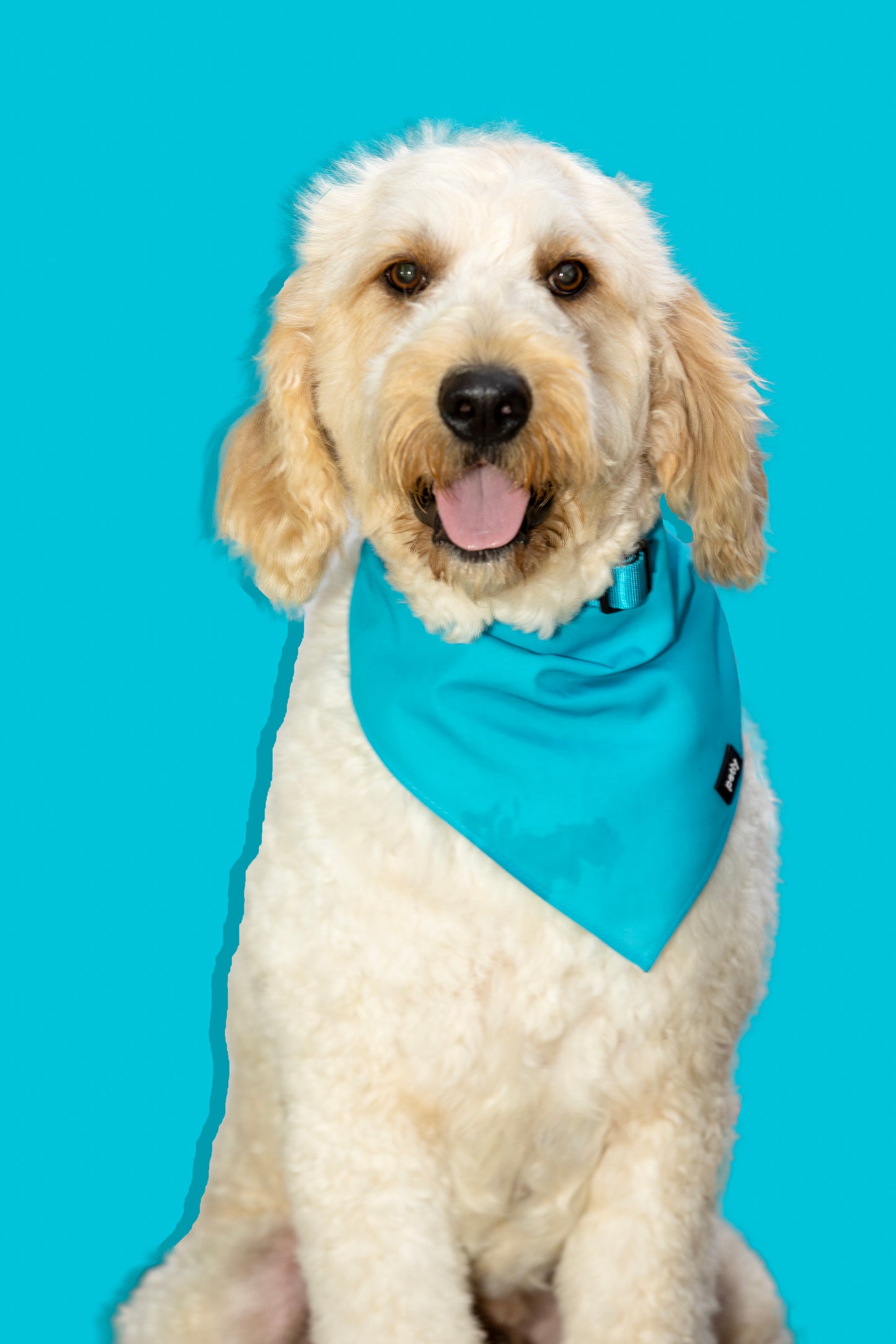 Cotton Bandana