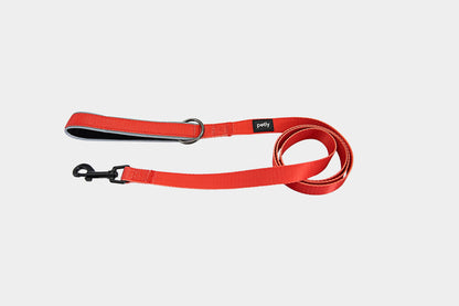 Reflective Leash