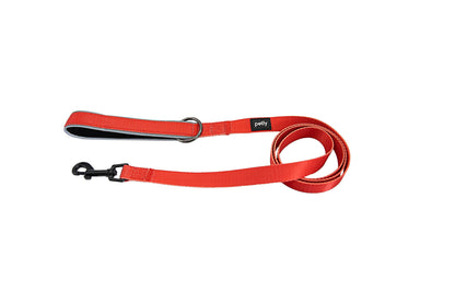 Reflective Leash