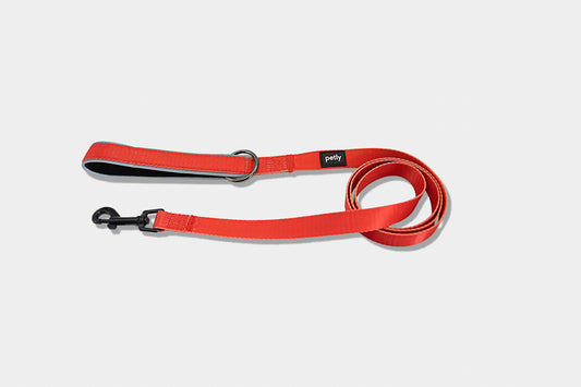 Reflective Leash